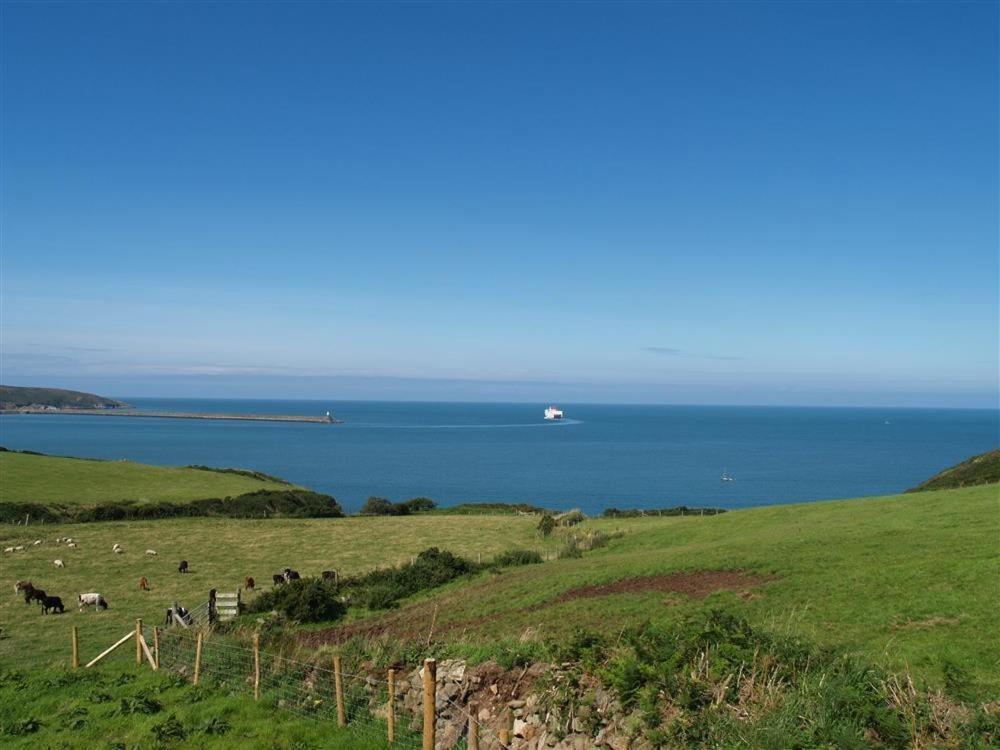 Cable Cottage Fishguard Bagian luar foto